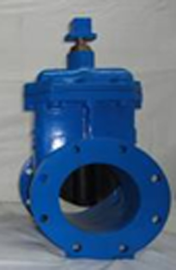 Resilient Seated Gate Valve